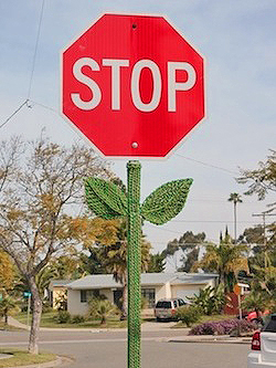 stop πινακίδα λουλούδι
